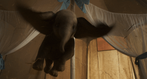 Live-action de Dumbo inspira coleções de vestuário e acessórios