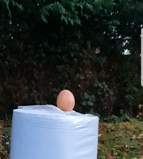 Slow Motion Egg GIF