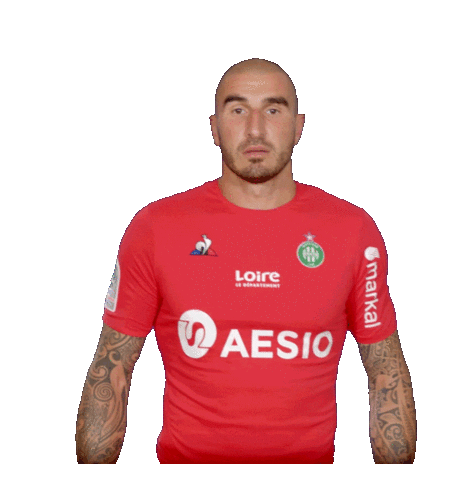Logo Asse Sticker by AS Saint-Etienne for iOS & Android