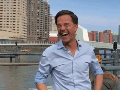 giphy.gif?cid=ecf05e47lqxtvie9m1glnne9sztoys2u3zgtr9x1ox9bpdj6&rid=giphy.gif&ct=g