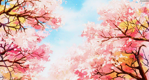 Flowering Tree GIFs  Find Share on GIPHY