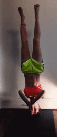 Headstand GIFs Find Share On GIPHY
