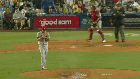 Lets Go Celebration GIF by MLB - Find & Share on GIPHY
