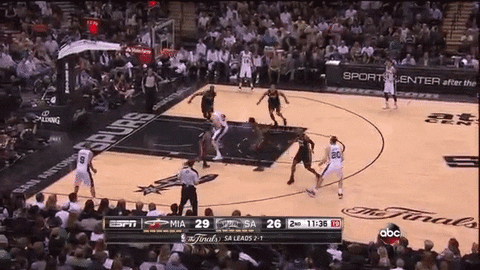 Miami Heat Fan GIF - Find & Share on GIPHY