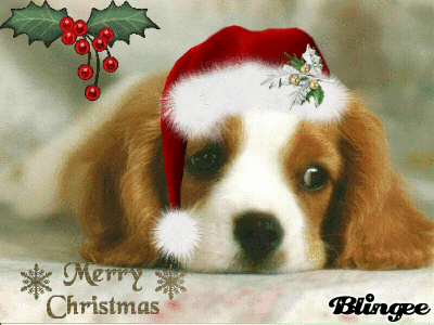 Christmas Gif 2021 Animated Images Wallpaper Free Download - FancyOdds