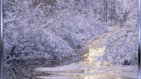 the effect of nature in winterdance Creative movement lesson: four seasons i do not take credit for the image or any of the sound effects in this video all i did was edit them together. the effect of nature in winterdance Creative movement lesson: four seasons i do not take credit for the image or any of the sound effects in this video all i did was edit them together.