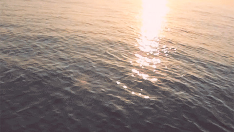 Oceano GIFs Find Share on GIPHY