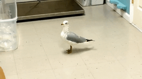 mrw barefoot patio
