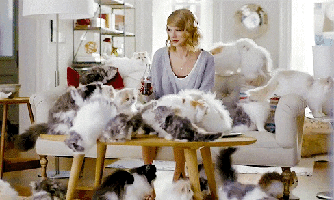 Cat Lady Cats GIF - Find & Share on GIPHY