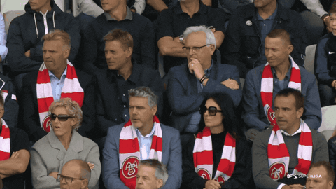 Hele Nordjyllands Hold GIF by AaB
