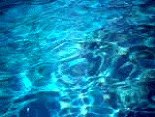 Water Reflections GIFs - Find & Share on GIPHY