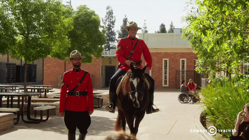 Canadian GIF - Find & Share on GIPHY