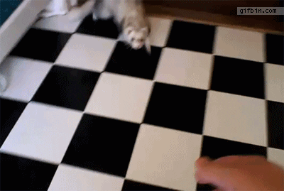 Day Go GIF Day Go GIF