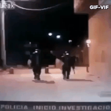 Dont Mess With Police in funny gifs