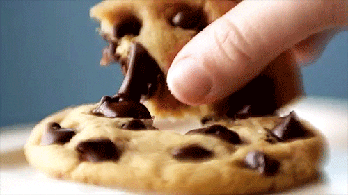 Chocolate Chip   GIF - Find & Share on GIPHY
