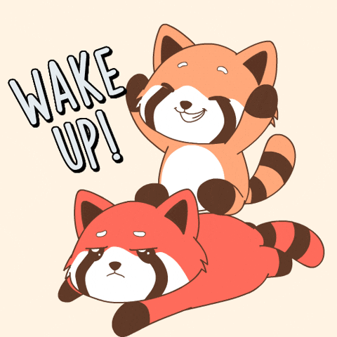 ShiningPandas GIF