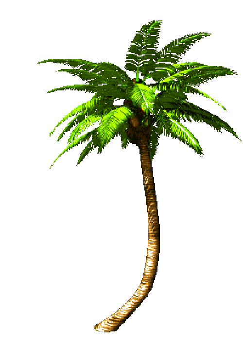 Palm Tree  GIF  Sticker  Find Share on GIPHY