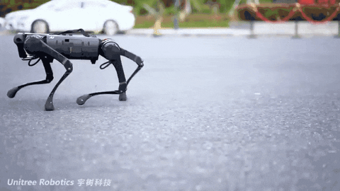 A fast legged robot