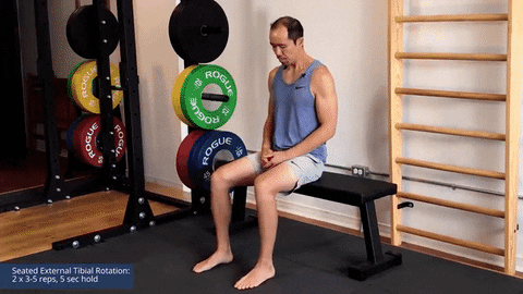 itb syndrome exercise - seated external tibial rotation