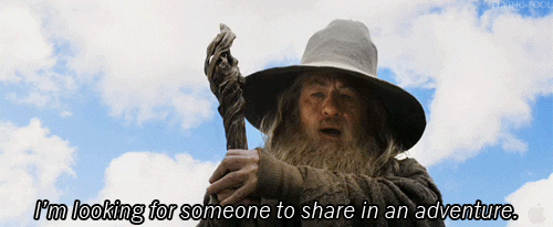 GIF - szukam kogośchętnego do wzięcia udziału w przygodzie (Gandalf - Hobbit) - inżynieria danych