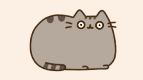 Pusheen GIF - Find & Share on GIPHY