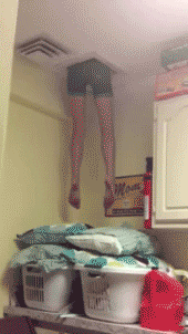 giphy.gif