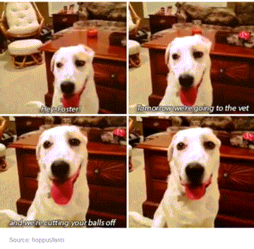 Always GIF - Find & Share on GIPHY