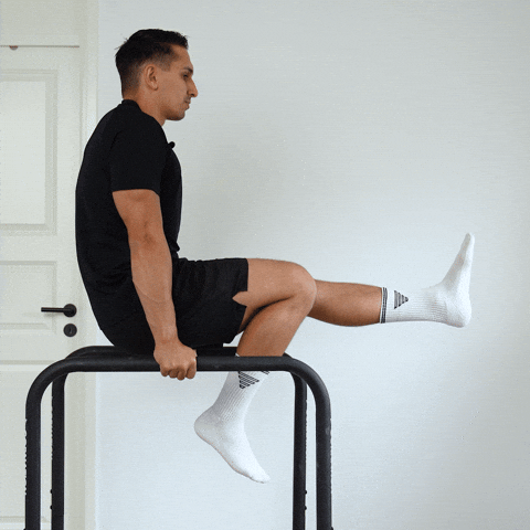 one leg l sit hold exercise demonstration