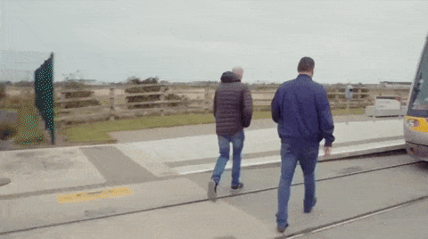 giphy-downsized-large.gif