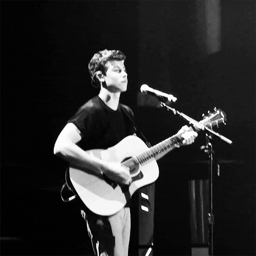 Will Shawn Mendes GIF Find & Share on GIPHY
