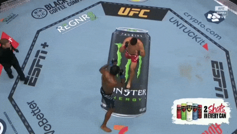 giphy.gif