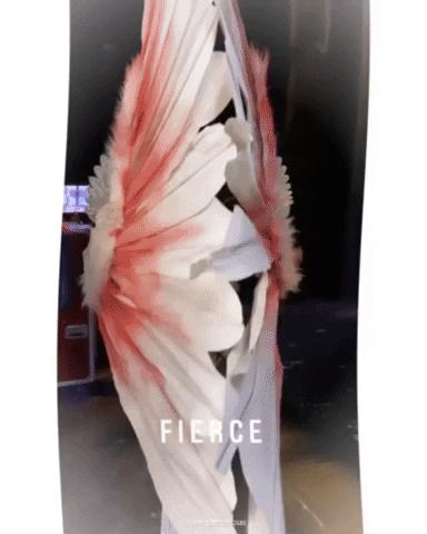 giphy.gif