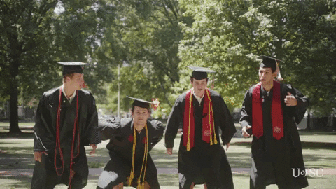 Celebrate South Carolina GIF by University of South Carolina