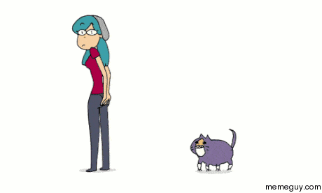 giphy.gif