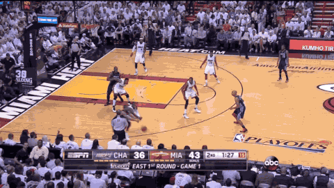 Charlotte Bobcats GIF - Find & Share on GIPHY