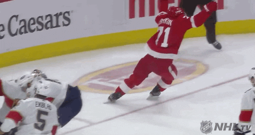 Ice Hockey Sport GIF by Detroit Red Wings