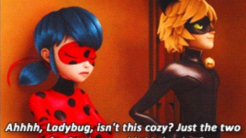 Chat Noir Ladybug Gif Find Share On Giphy