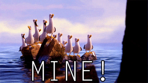 Finding Nemo: a flock of seagulls on a rock all shout "Mine!"