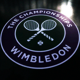 Wimbledon 2015 Tennis GIF - Find & Share on GIPHY