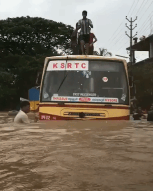 When life gives you flood enjoy it in funny gifs