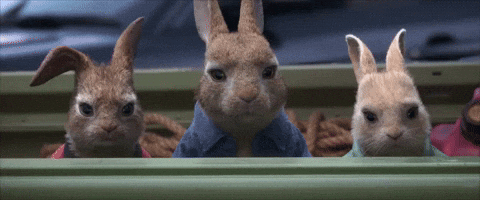 Peter Rabbit GIF