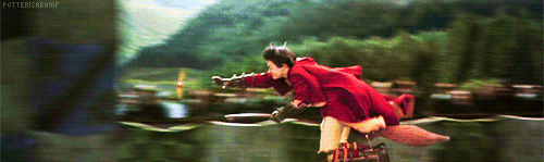 Image result for quidditch gif