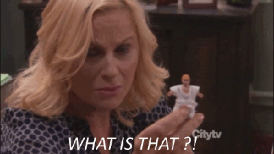 http://giphy.com/gifs/parks-and-recreation-amy-poehler-rec-DIxt9pXgVsL1m