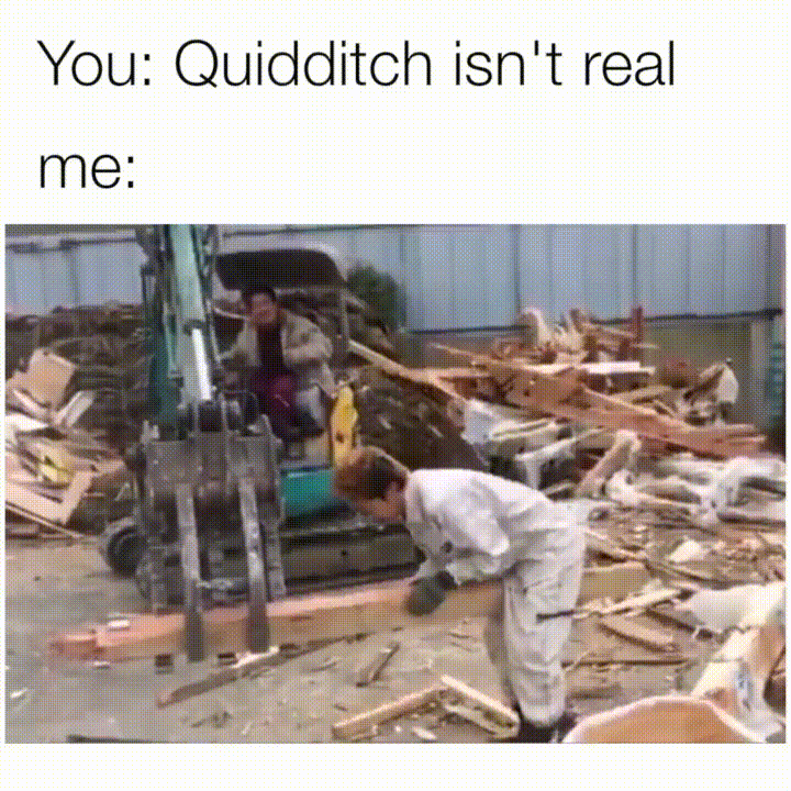 ¿Es que nadie piensa en el Quidditch?