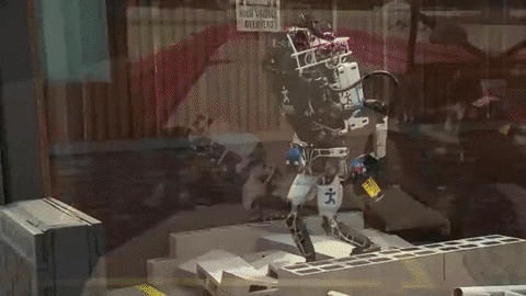 giphy.gif