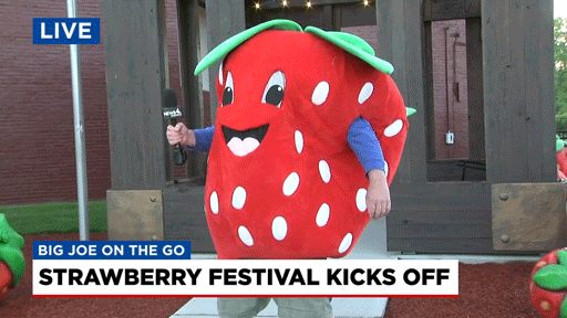Big Joe GIF by WSMV News 4, Nashville