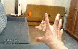 Image result for weird hand tricks gif