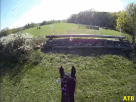 Ecuestre eventing Lima 2019