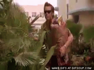Leaving Work Early GIFs - Find & Share on GIPHY