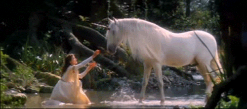 woman reaching out for a unicorn